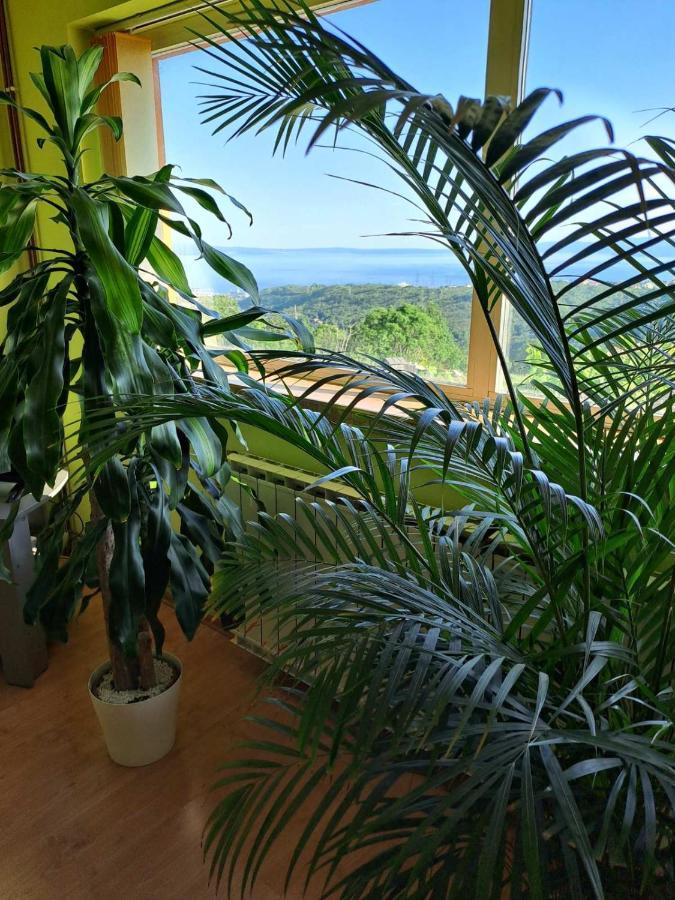 Kuca Za Odmor Vista Mare Villa Marinici  Exterior foto